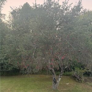 Meet your Posher, Jax